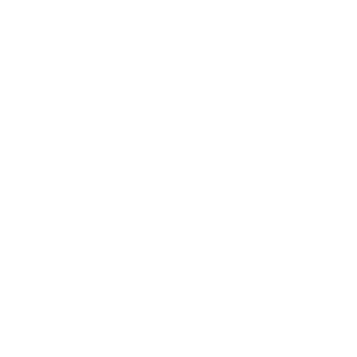 experience-logo